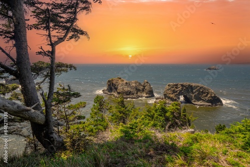 Arch Rock, a unique sea stack in the Samuel H. Boardman State Scenic Corridor near Brookings in southern Oregon, United States photo