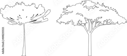 Vector silhouette illustration sketch detailed artistic tree plant design with lots of leaves and twigs for completeness of the image