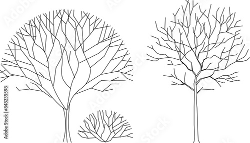 Vector silhouette illustration sketch detailed artistic tree plant design with lots of leaves and twigs for completeness of the image