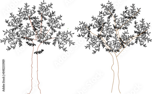 Vector silhouette illustration sketch detailed artistic tree plant design with lots of leaves for completeness of the image