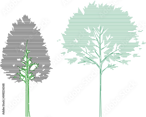 Vector silhouette illustration sketch detailed artistic tree plant design with lots of leaves for completeness of the image 