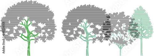 Vector silhouette illustration sketch detailed artistic tree plant design with lots of leaves for completeness of the image 