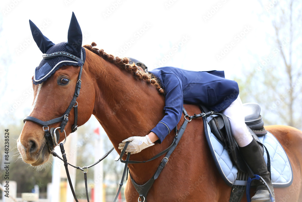 Unknown horsegirl hugging a brown horse while in saddle Unknown horsegirl hugging a brown horse while in saddle