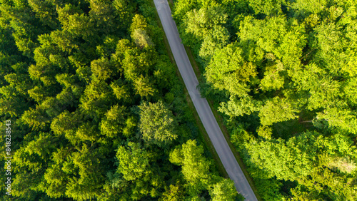 Straight road trough dense forest. Aerial drone view, top down. Forest Road view from above, Aerial view asphalt road