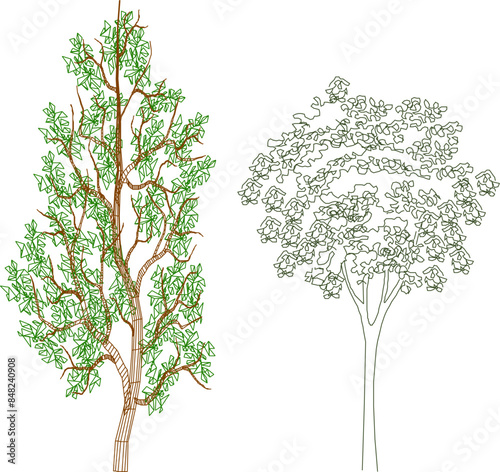 Vector silhouette illustration sketch, detailed artistic tree plant design for completeness of the image