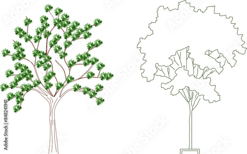 Vector silhouette illustration sketch, detailed artistic tree plant design for completeness of the image