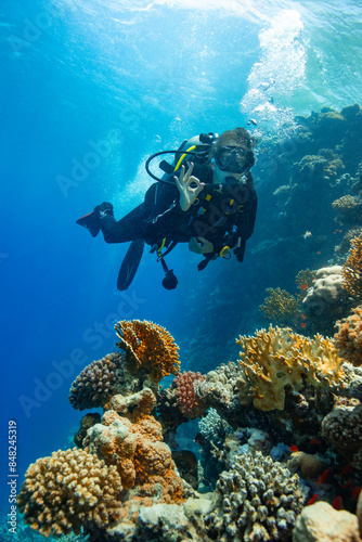 Wallpaper Mural Young Woman Diver Showing OK Sign. Coral Reef with Colored Hard Corals and Fish. Torontodigital.ca