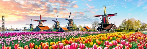 Artistic painting of rural countryside scene with traditional windmill and tulip flower #848262979