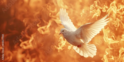 White Dove Near Fire