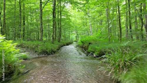 Drone view over forest stream in south Germany in summer