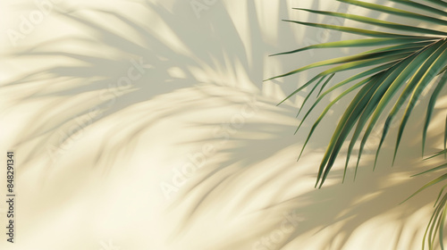 Blurred shadow from palm leaves on the light cream color wall. Minimal abstract background. © Aistock