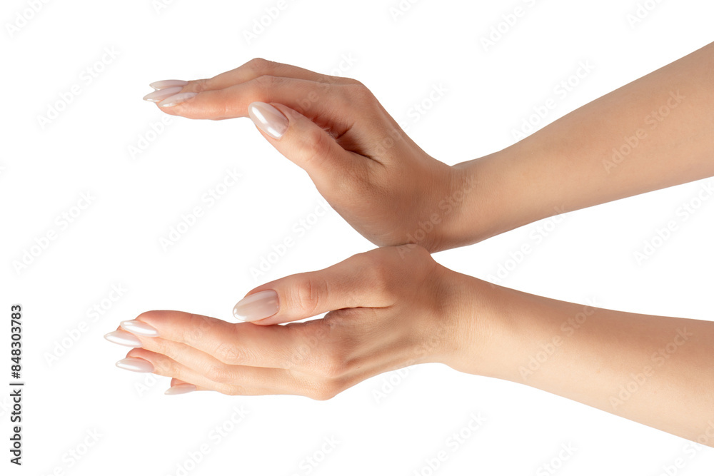 Woman hands isolated on a white background. Woman hands isolated on a white background.