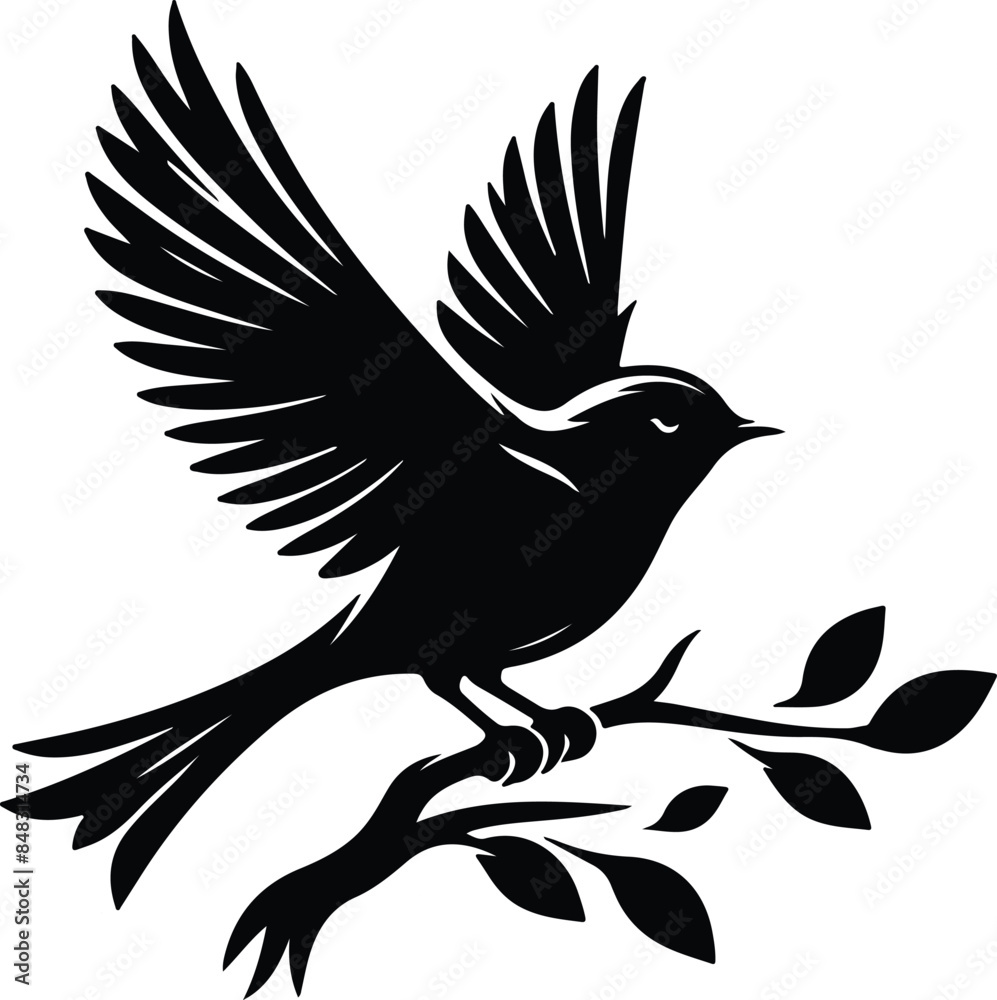 Fototapeta premium silhouette of a bird