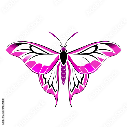  butterfly with pink and black wings.