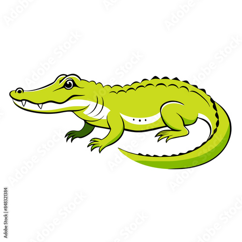 green crocodile with a long snout and sharp teeth.