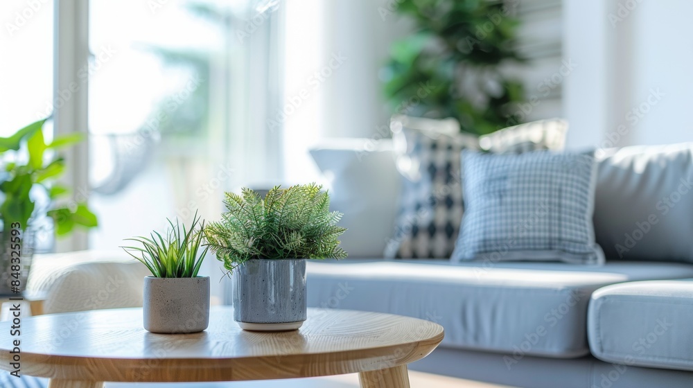Modern living room with potted plants and natural light Modern living room with potted plants and natural light
