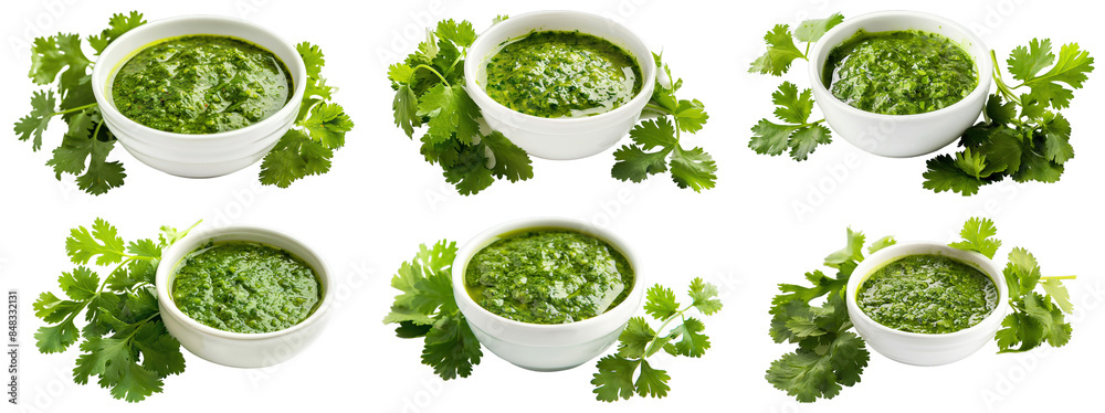 Set of Cilantro Sauce Bowl isolated on transparent png background. Generative ai Set of Cilantro Sauce Bowl isolated on transparent png background. Generative ai