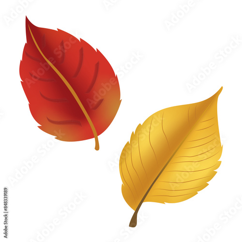 Autumn leaves pare isolated on white background. Simple cartoon flat style. Isolated vector illustration. Design for stickers, logo, web and mobile app.