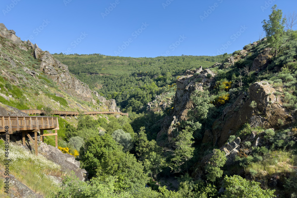Obraz premium A wooden bridge traverses a rocky gorge, embraced by the verdant wilderness under the clear blue sky