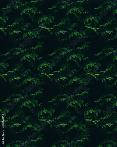 Plant background