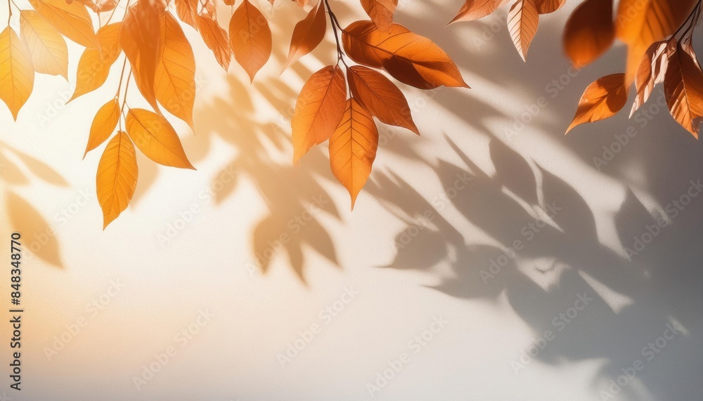 Soft and subtle leaf shadows background, warm sunlight, serene and calming atmosphere, orange leave, shadow cast Soft and subtle leaf shadows background, warm sunlight, serene and calming atmosphere, orange leave, shadow cast