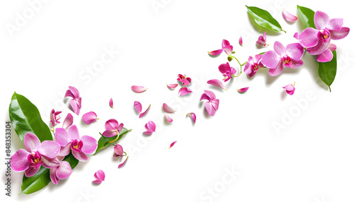 Fresh flying pink orchids and leaves isolated on white