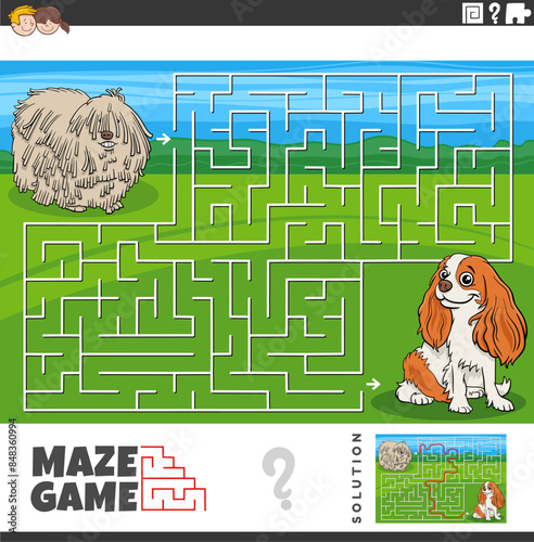maze game with cartoon komondor and cavalier purebred dogs