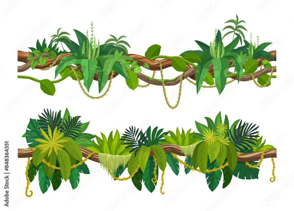 custom made wallpaper toronto digitalTropical jungle forest liana vine branch. Cartoon vector leaves and hanging roots. African rainforest tree plant thicket, spinney, forest climbing green foliage. Amazon flora lianas, tropic nature