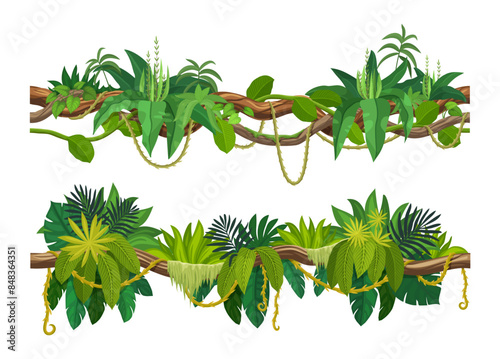 Tropical jungle forest liana vine branch. Cartoon vector leaves and hanging roots. African rainforest tree plant thicket, spinney, forest climbing green foliage. Amazon flora lianas, tropic nature