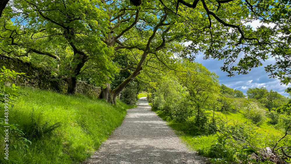 green pathway forest park England green pathway forest park England