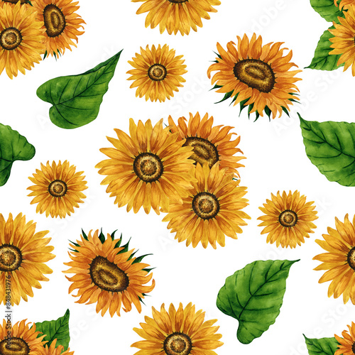 Watercolor sunflower seamless pattern. Floral background with yellow flowers. Summer floral composition. Autumn flowers arrangement. Hand drawn botanical illustration for packaging, textile, scrapbook