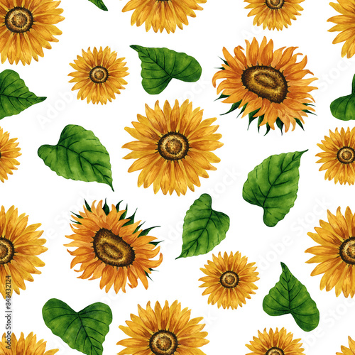 Watercolor sunflower seamless pattern. Floral background with yellow flowers. Summer floral composition. Autumn flowers arrangement. Hand drawn botanical illustration for packaging, textile, scrapbook