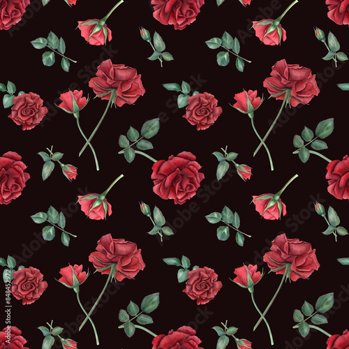 Scarlet rose on stem with buds. Seamless pattern of Deep red roses. Summer ruby flowers. Blooming plants. Watercolor illustration isolated on black background. For wedding design, memorial day