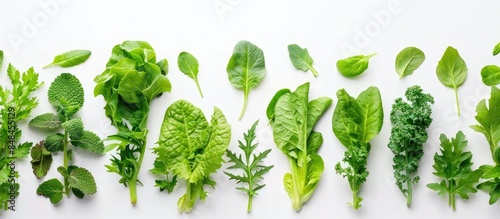 Fresh leafy vegetable on white background photo