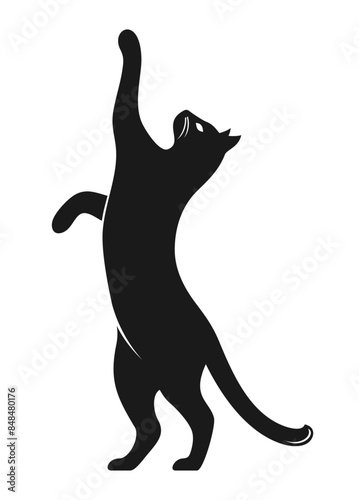 Black silhouette of a cat standing on its hind legs and reaching up. Vector illustration