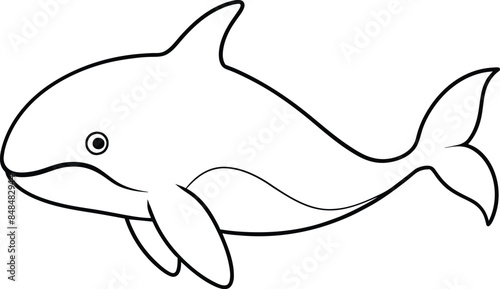 Coloring book or Coloring page for kids Dolphin vector clipart Nature background photo