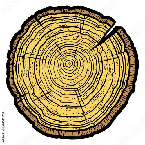 Bilde på lerret Tree cross section saw cut tree ring dating color sketch engraving PNG illustration