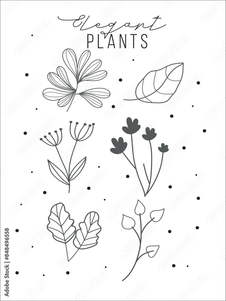 Set of elements draw collections, flowers, plants and leaf , botanic arts for logo, stamp, wedding, invitations, card, tattoos, floral elements 