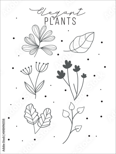 Set of elements draw collections, flowers, plants and leaf , botanic arts for logo, stamp, wedding, invitations, card, tattoos, floral elements 