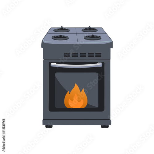 Kitchen electric stove. Kitchen gas stove