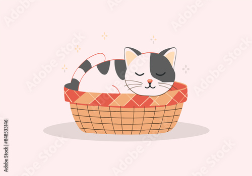 Cute sleeping cat in a basket illustration
