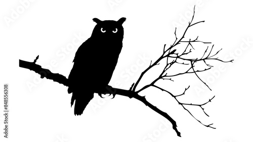 Owl Silhouette on a Branch
