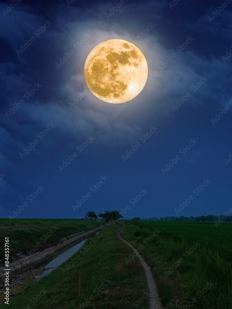 Fototapeta premium Full Moon Night Landscape Serene Country Path Underneath a Giant Moon
