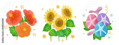 夏の花セット：ハイビスカス、ひまわり、朝顔