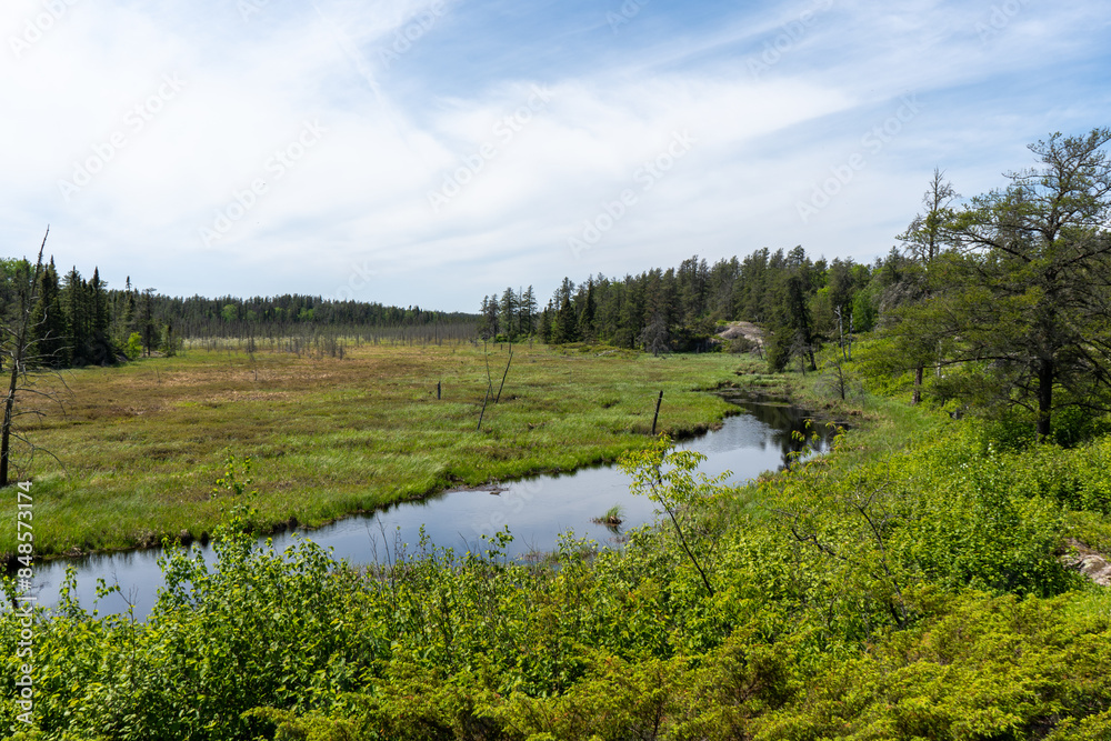 river and forest river and forest