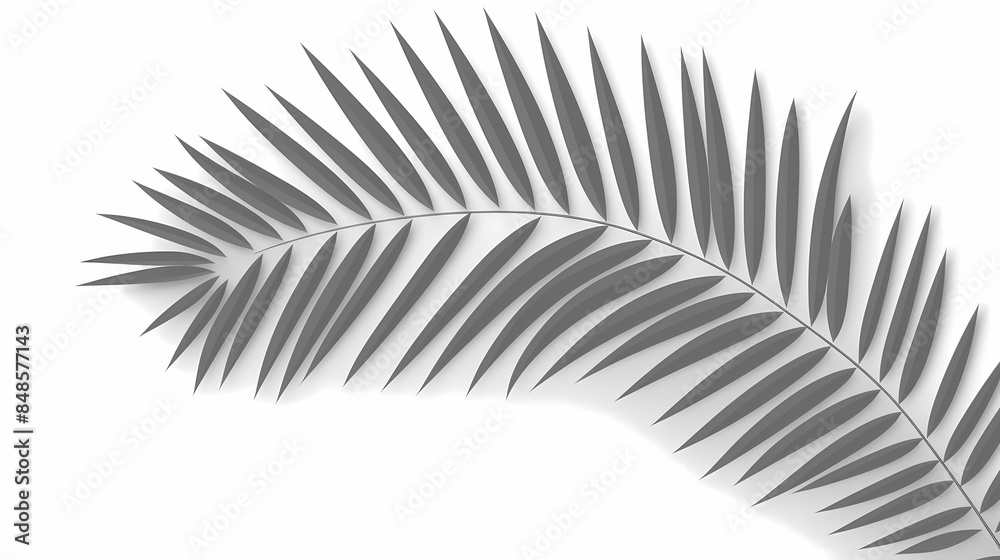 Fototapeta premium Realistic transparent shadow from a leaf of a palm tree on the white background. Tropical leaves shadow. Mockup with palm leaves shadow.