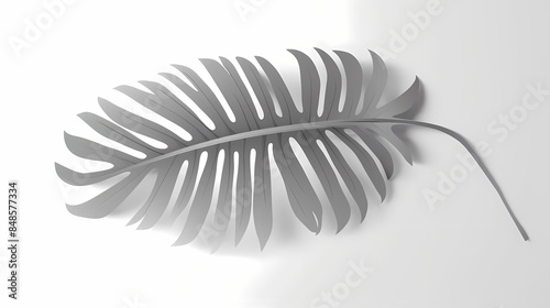 Realistic transparent shadow from a leaf of a palm tree on the white background. Tropical leaves shadow. Mockup with palm leaves shadow.