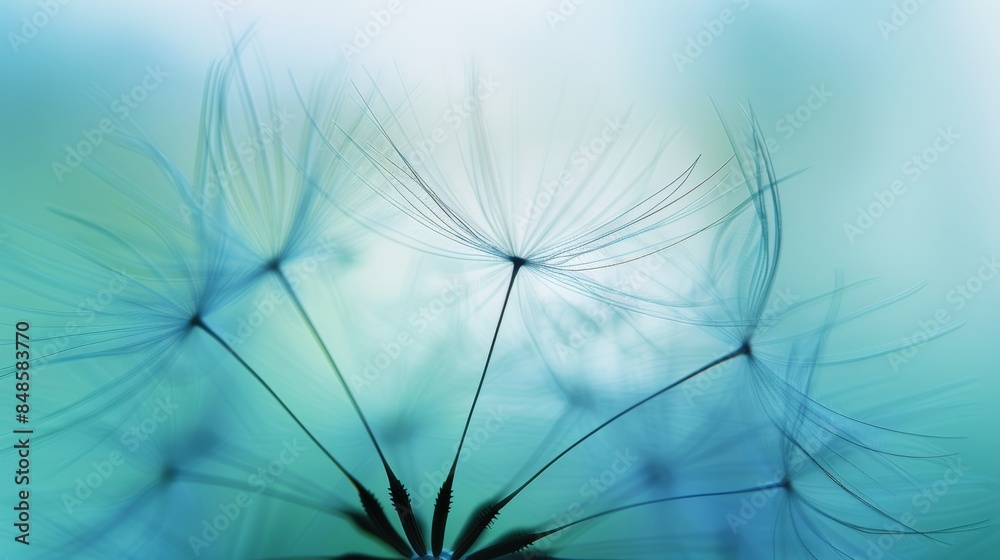 Macro shot of dandelion seed with soft blue sky background and seeds floating away Macro shot of dandelion seed with soft blue sky background and seeds floating away
