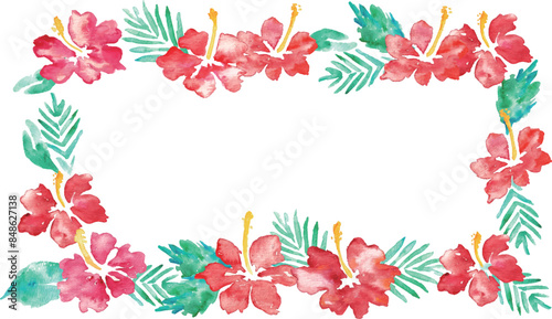 水彩画。水彩タッチのハイビスカスベクターフレーム。南国風ハイビスカスの背景。Watercolor painting. Hibiscus vector frame with watercolor touch. Tropical style hibiscus background.