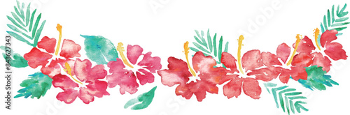 水彩画。水彩タッチのハイビスカスベクターフレーム。南国風ハイビスカスの背景。Watercolor painting. Hibiscus vector frame with watercolor touch. Tropical style hibiscus background.